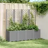 Image de vidaXL Jardinière avec treillis gris clair 160x40x140 cm PP