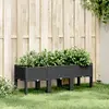 Image de vidaXL Jardinière avec pieds noir 120x40x42 cm PP