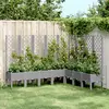 Image de vidaXL Jardinière avec treillis gris clair 200x160x142 cm PP
