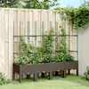 Image de vidaXL Jardinière avec treillis marron 160x40x142,5 cm PP