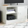 Image de vidaXL Meuble TV blanc 67x39x44 cm acier