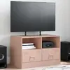 Image de vidaXL Meuble TV rose 67x39x44 cm acier