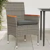 Image de vidaXL Chaises de jardin avec coussins lot de 2 gris résine tressée