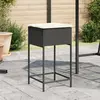 Image de vidaXL Tabourets de bar jardin coussins lot de 2 noir résine tressée