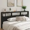 Image de vidaXL Armoire tête de lit avec LED noir 220x17x102 cm