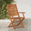 Image de vidaXL Chaises pliantes de jardin avec accoudoir lot de 2