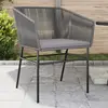 Image de vidaXL Chaises de jardin lot de 2 avec coussins gris résine tressée