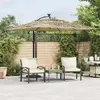 Image de vidaXL Parasol de jardin avec LED et mât en acier marron 269x269x235cm