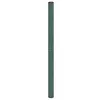 Image de vidaXL Membrane anti-mauvaises herbes vert 2x150 m PP