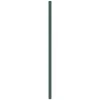 Image de vidaXL Membrane anti-mauvaises herbes vert 4x50 m PP