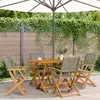 Image de vidaXL Chaises de jardin pliantes lot de 4 gris poly rotin bois massif