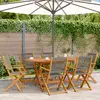 Image de vidaXL Chaises de jardin pliables lot de 6 gris bois d'acacia massif