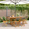 Image de vidaXL Chaises de jardin pliables lot de 6 gris bois d'acacia massif