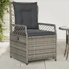 Image de vidaXL Chaises inclinables de jardin lot de 2 gris résine tressée