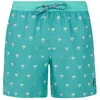 Image de Protest PRTParco Zwembroek Heren Wave Green L