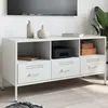 Image de vidaXL Meuble TV blanc 100,5x39x50,5 cm acier