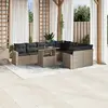 Image de vidaXL Salon de jardin avec coussins 10 pcs gris clair résine tressée