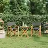 Image de vidaXL Chaises de metteur en scène pliantes lot de 2 Bois teck massif