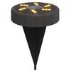 Image de vidaXL Lampes solaires de sol et piquets de sol extérieur 12 pcs