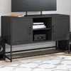 Image de vidaXL Meuble TV noir 100,5x39x60,5 cm acier