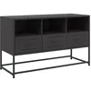 Image de vidaXL Meuble TV noir 100,5x39x60,5 cm acier
