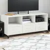 Image de vidaXL Meuble TV blanc 100,5x39x43,5 cm acier
