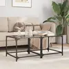Image de vidaXL Tables basses avec dessus en verre noir 2 pcs 50x50x40 cm acier