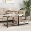 Image de vidaXL Tables basses avec dessus en verre noir 2 pcs 50x50x40 cm acier