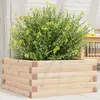 Image de vidaXL Jardinière 50x50x23 cm bois de pin massif