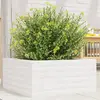 Image de vidaXL Jardinière blanc 50x50x23 cm bois de pin massif