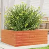 Image de vidaXL Jardinière cire marron 60x60x23 cm bois de pin massif
