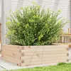 Image de vidaXL Jardinière 70x70x23 cm bois de pin massif