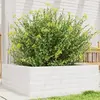 Image de vidaXL Jardinière blanc 70x70x23 cm bois de pin massif
