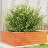 Image de vidaXL Jardinière cire marron 70x70x23 cm bois de pin massif