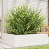 Image de vidaXL Jardinière blanc 80x80x23 cm bois de pin massif