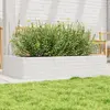 Image de vidaXL Jardinière blanc 110x60x23 cm bois de pin massif