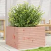 Image de vidaXL Jardinière 70x70x45,5 cm bois massif de douglas
