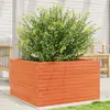 Image de vidaXL Jardinière cire marron 80x80x45,5 cm bois de pin massif