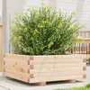 Image de vidaXL Jardinière 60x60x26,5 cm bois de pin massif