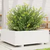 Image de vidaXL Jardinière blanc 70x70x26,5 cm bois de pin massif