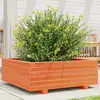 Image de vidaXL Jardinière cire marron 70x70x26,5 cm bois de pin massif