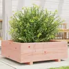 Image de vidaXL Jardinière 70x70x26,5 cm bois massif douglas