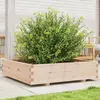 Image de vidaXL Jardinière 100x100x26,5 cm bois de pin massif