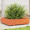 Image de vidaXL Jardinière cire marron 100x100x26,5 cm bois de pin massif
