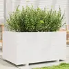 Image de vidaXL Jardinière blanc 90x60x49,5 cm bois de pin massif