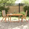 Image de vidaXL Chaises pliables de jardin lot de 2 bois d'acacia et textilène