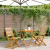 Image de vidaXL Ensemble de bistro 3 pcs beige polypropylène et bois massif