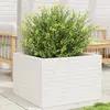 Image de vidaXL Jardinière blanc 70x70x46 cm bois de pin massif