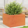 Image de vidaXL Jardinière cire marron 70x70x46 cm bois de pin massif