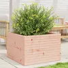 Image de vidaXL Jardinière 70x70x46 cm bois massif de douglas